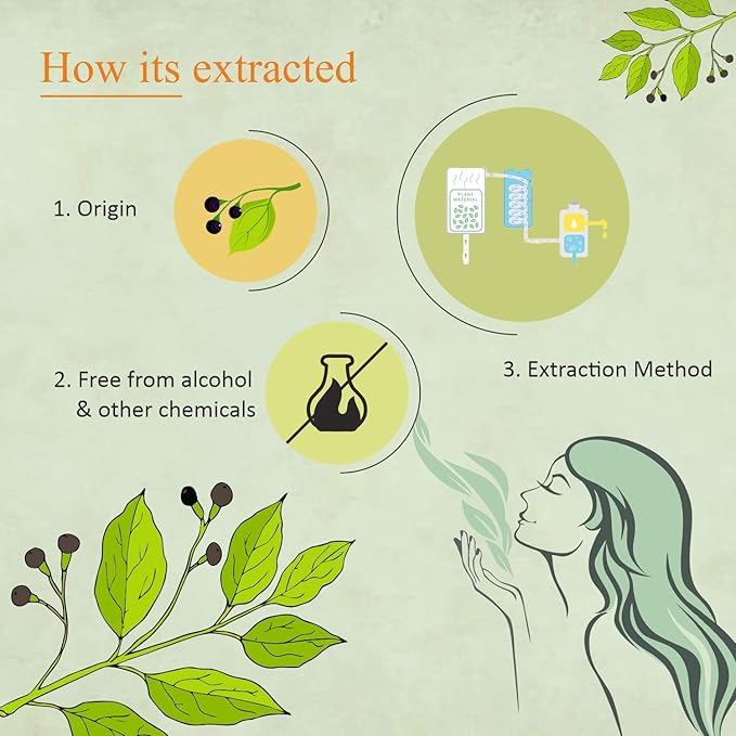 Florona Camphor Oil 100% Pure & Natural - 4 fl oz, for Hair, Face & Skin Care, Massage