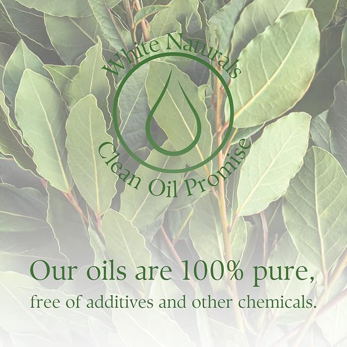 Organic Laurel Leaf Essential Oil, 100% Pure Therapeutic Grade Undiluted Natural/Homeopathic Aromatherapy Scented Bay Essential Oil for Diffuser, Vegan Cruelty-Free 1 oz by White Naturals