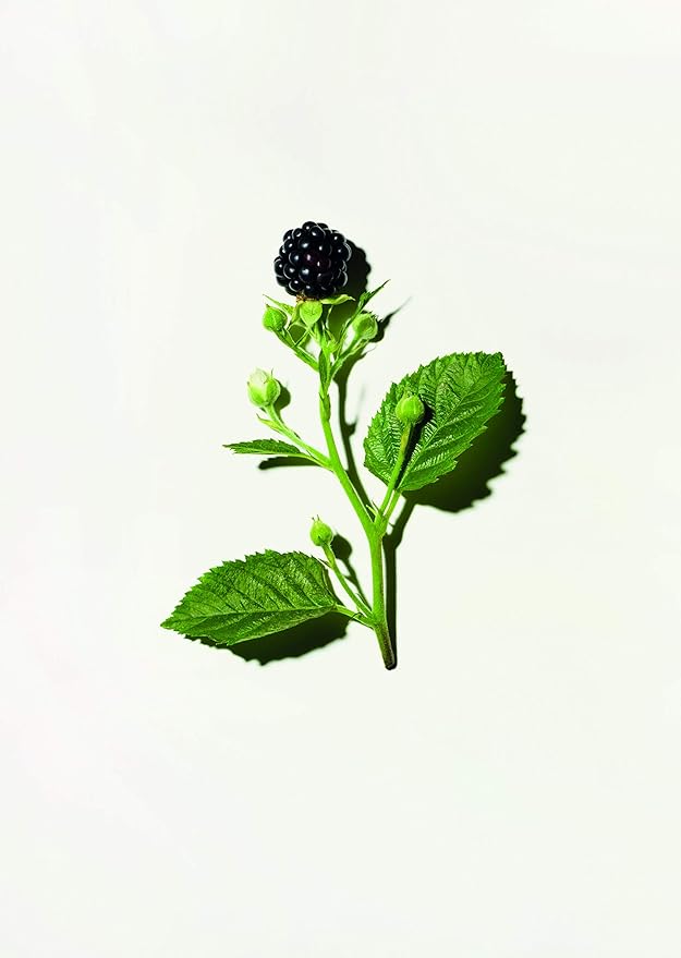 ApotheCARE Essentials Phytoyoung Firming Serum 1 Fl Oz