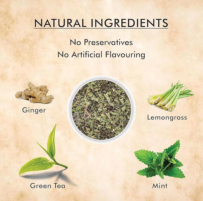 Octavius Mint Digest Digestive Green Tea | Rich in Antioxidants | Refreshing Mint & Green Tea Fusion - 20 Enveloped Pyramid Easy to Use Tea Bags