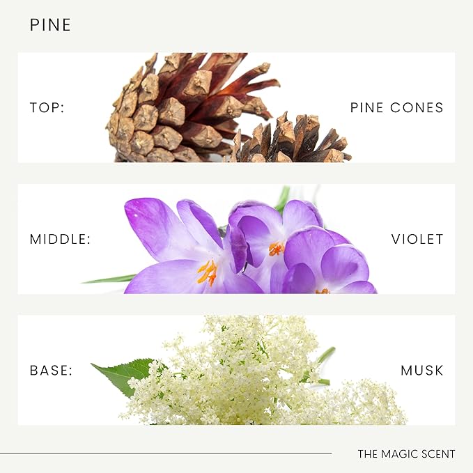 Pine Aroma Oil - Diffuser Oil Scent - Cold-Air & Ultrasonic Diffuser Oil - Pine Essential Oil - Essential Oils for Diffusers Aromatherapy - Pine Oil - 8.5 fl oz, 250 mL