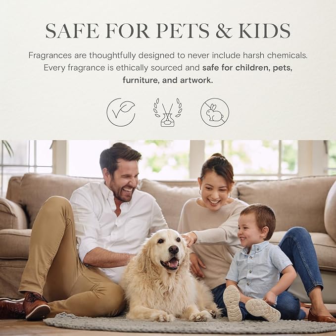 Blue Lava Designer Collection Diffuser Oils | Aromatherapy Home Fragrance | Luxurious Scent with Notes of Lime, Orange Zest, Cassis, Green Leaves (120 mL)