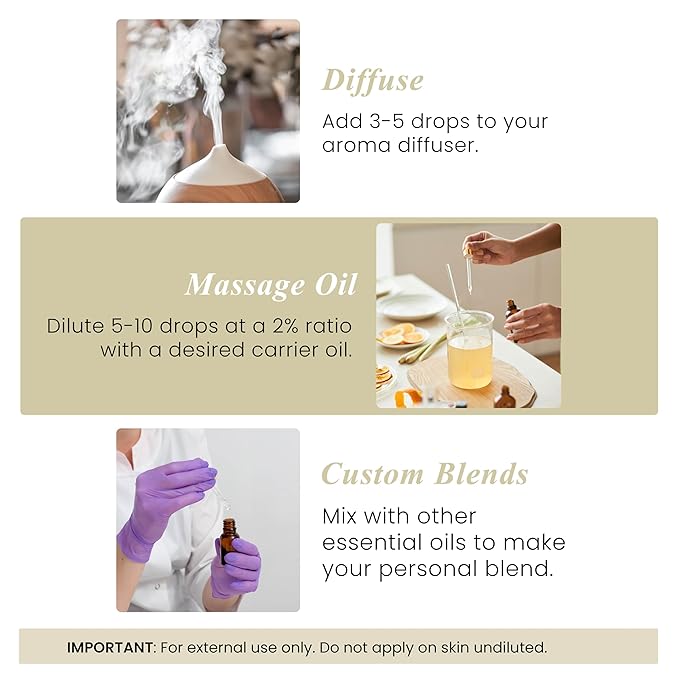 Handcraft Blends Vanilla Essential Oil - 1 Fl Oz - 100% Pure and Natural - Premium Grade Essential Oil for Diffuser and Aromatherapy