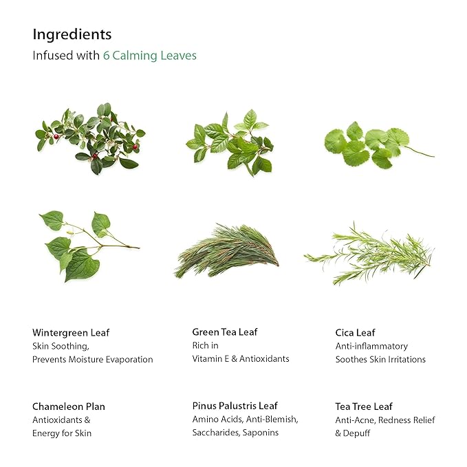 BLITHE Skin Care Solution Bundle – Caffeine Eye Cream, Pressed Serum Tundra Chaga, Vital Treatment 6 Calming Leaves