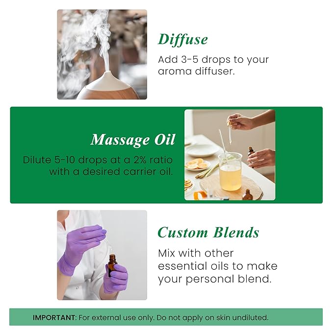 Handcraft Blends Thyme Essential Oil - Huge 4 Fl Oz - 100% Pure and Natural - Premium Grade Essential Oil for Diffuser and Aromatherapy