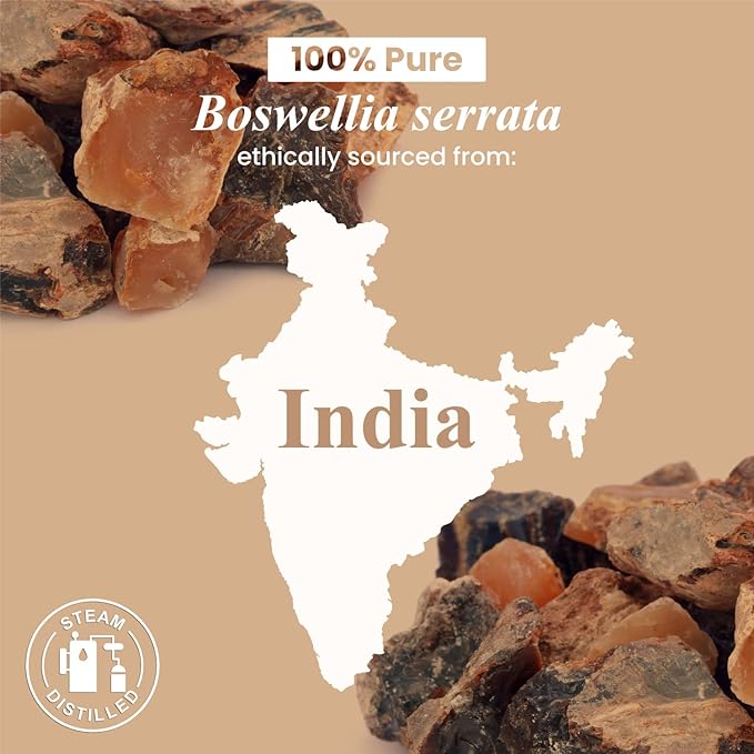 Handcraft Blends Frankincense Essential Oil - 0.33 Fl Oz - 100% Pure and Natural - Premium Grade Essential Oil for Diffuser and Aromatherapy