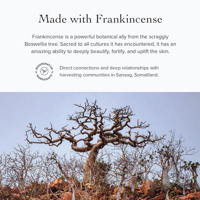 evanhealy Neroli Frankincense Body Oil | Organic Body Care with Silky Blend of Plant Oils to Soften & Moisturize All Skin | Frankincense Oil for Face