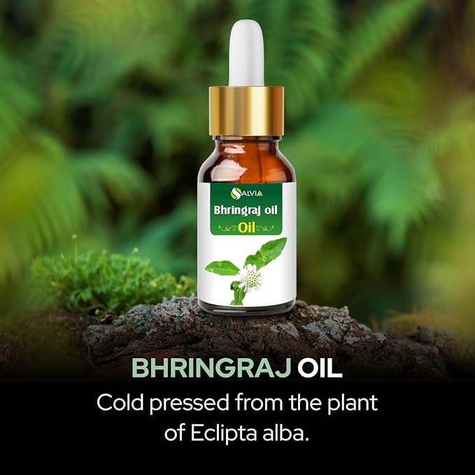 Salvia Bhringraj Oil (Eclipta alba) - Undiluted Uncut Cold Pressed Premium Oil (50ml (1.69 Fl Oz with Dropper))