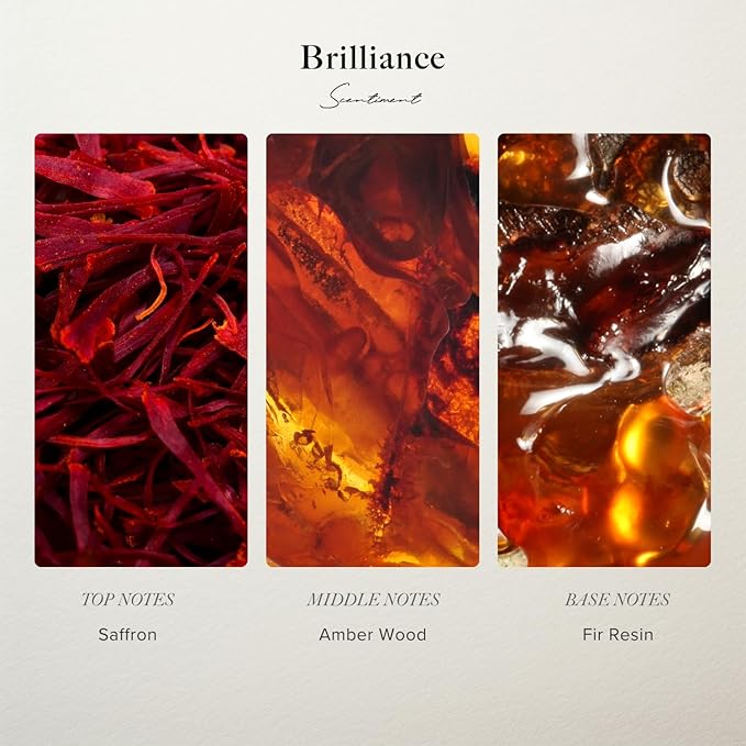 Brilliance Designer Collection Diffuser Oils | Aromatherapy Home Fragrance | Luxurious Scent with Notes of Saffron, Amberwood, Fir Resin (20 mL)