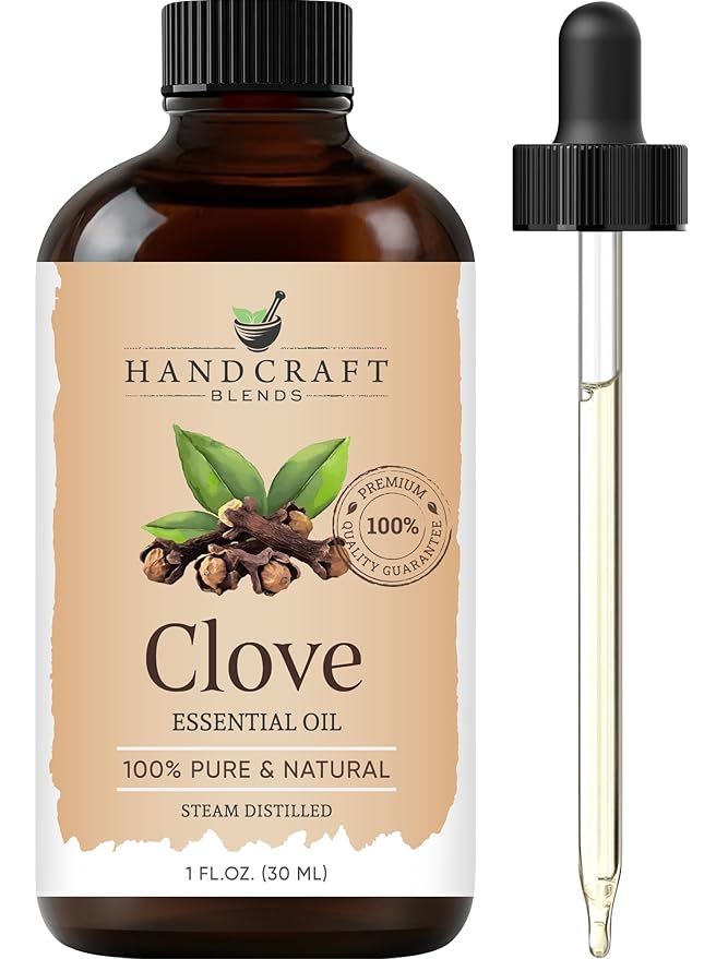 Handcraft Blends Clove Essential Oil - 1 Fl Oz - 100% Pure and Natural - Premium Grade Essential Oil for Diffuser and Aromatherapy