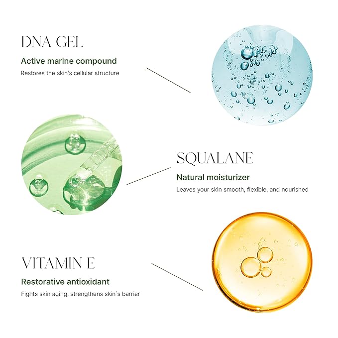 Active Night Repair Face Cream with Antioxidants and Vitamin E – Anti-Aging Midnight Moisturizer for Fine Lines, Wrinkles – Intense Skin Recovery – 1.7 fl. oz. / 50 ml