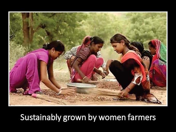 DAANA Neem Oil for Skin and Hair: Certified USDA Organic, Extra Virgin, Cold Pressed (12 Fl Oz)