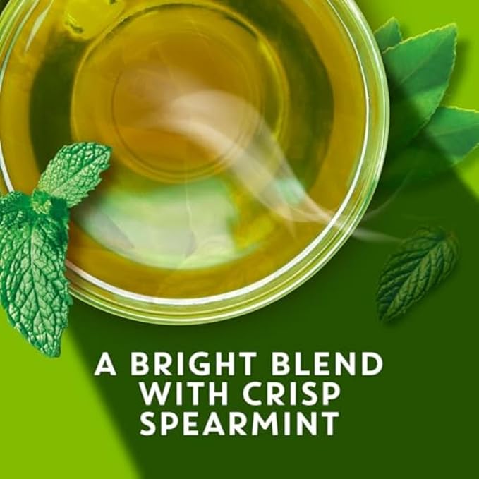 TAZO Organic Zen Green Tea, Green Tea Zen for Health and Wellness, 96 Total Tea Bags (16ct - Pack of 6)