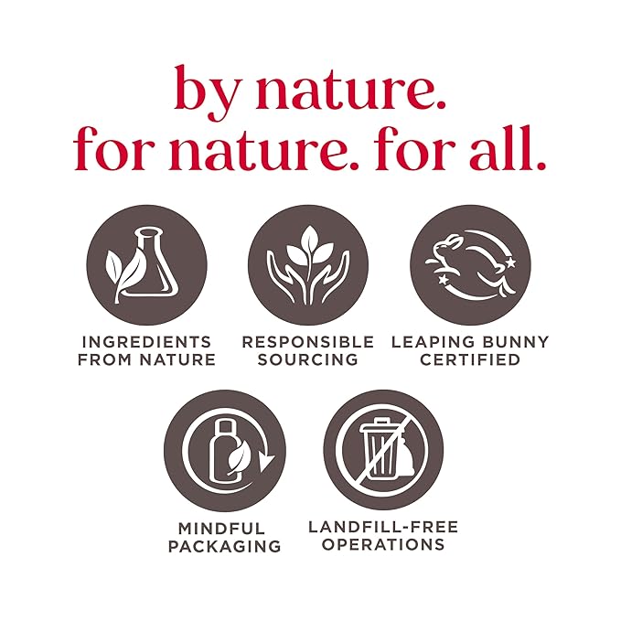 Burt's Bees Mothers Day Gifts Essential Beauty Set, 5 Travel Size - Deep Cleansing Cream, Hand Salve, Body Lotion, Foot Cream and Lip Balm, with 4 Flavored Lip Balms