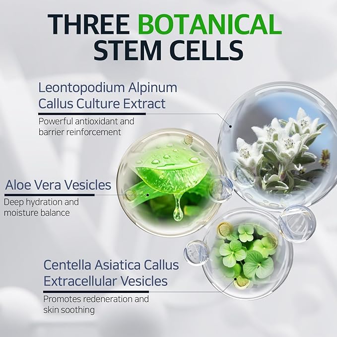 Stem Cell Peptide Retinol Night Cream 1.69 fl oz – Plant-Based Stem Cell for Anti-Aging, Skin Repair, Nourishment, Korean Skin Care for Overnight Facial Recovery with Non-Sticky & Non-Toxic Formula