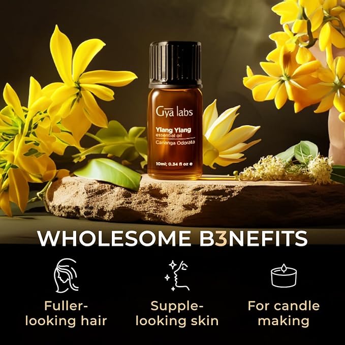 Gya Labs Ylang-Ylang Essential Oil for Diffuser - 0.34 Fl Oz - 100% Pure Natural Ylang Ylang Essential Oil for Skin, Hair Health, Face, Aromatherapy & Candle Making Scent