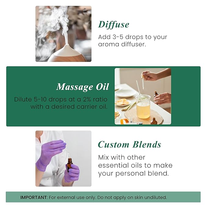 Handcraft Blends Eucalyptus Essential Oil - 1 Fl Oz - 100% Pure and Natural - Premium Grade Essential Oil for Diffuser and Aromatherapy