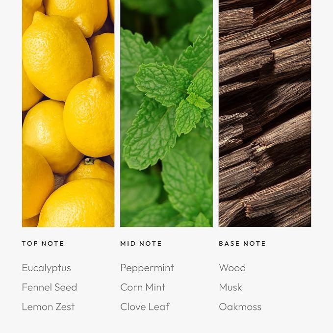 Aroma360 Pro Pod - Fragrance Oil Inpsired by Spring - Scent Includes Fennel Seed, Corn Mint & Oakmoss - Break My Soul, 50mL/1.7 fl oz