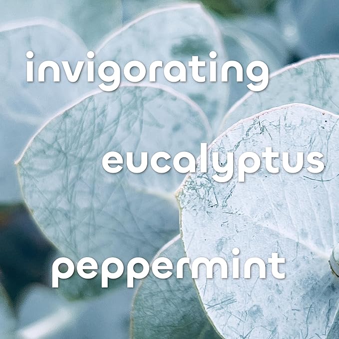 Seaweed Bath Co. Hydrate Body Cream, Eucalyptus Peppermint Scent, 6 Ounce, Nourishing Hand & Body Lotion Moisturizer for Dry Skin, with Sustainably Harvested Seaweed, Kukui Oil, Hyaluronic Acid