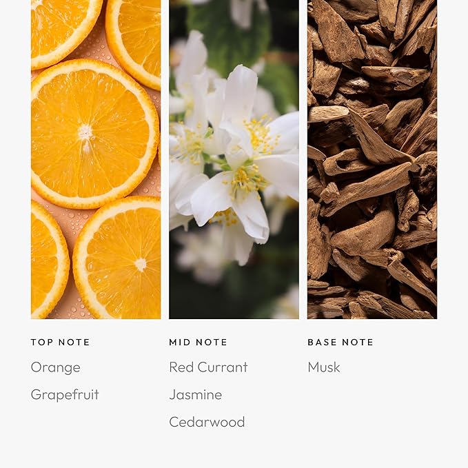 Aroma360 - November Rain Pro Pod Fragrance Oil Blend | Hotel Inspired Luxury Essential Oil Diffuser | Aromatherapy Scent Diffuser Oil | Grapefruit, Orange and Jasmine 1.7 fl oz, 50 mL