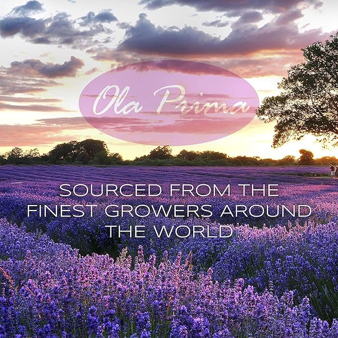 Ola Prima Oils 16oz - Bergamot Essential Oil - 16 Fluid Ounces