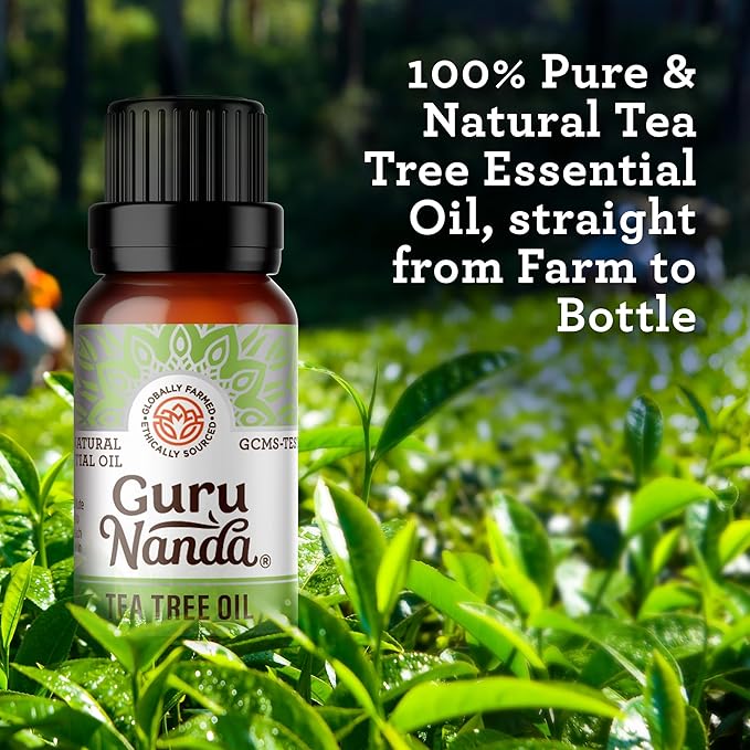 GuruNanda Tea Tree Essential Oil (0.5 Fl Oz) - 100% Pure, Natural and Undiluted Essential Oil for Diffusers - Perfect for Aromatherapy, Massages & DIY Recipes - Helps in Skin and Hair Care