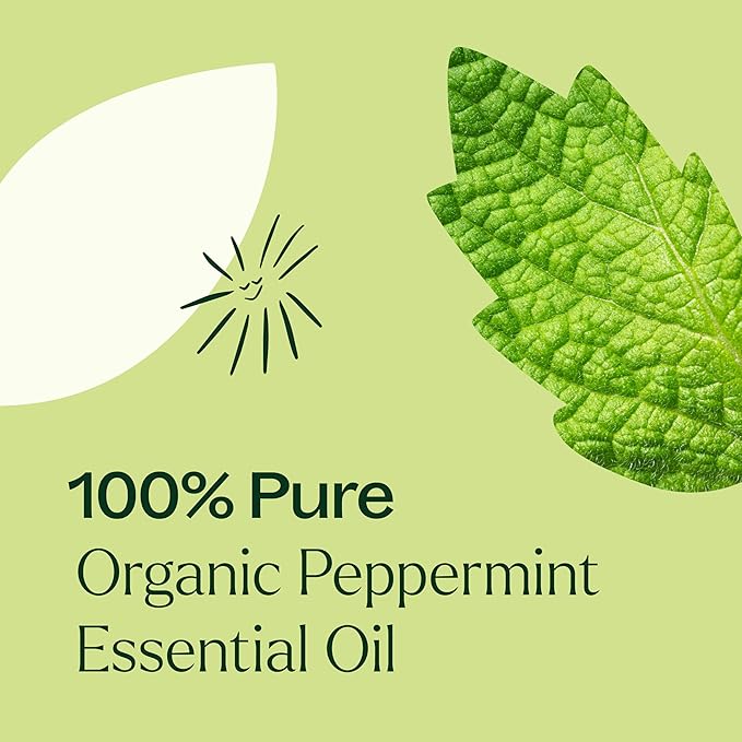 Plant Therapy Organic Peppermint Essential Oil 100% Pure, USDA Certified Organic, Undiluted, Natural Aromatherapy, for Diffusion, Skin, Hair, Therapeutic Grade 30 mL (1 oz)
