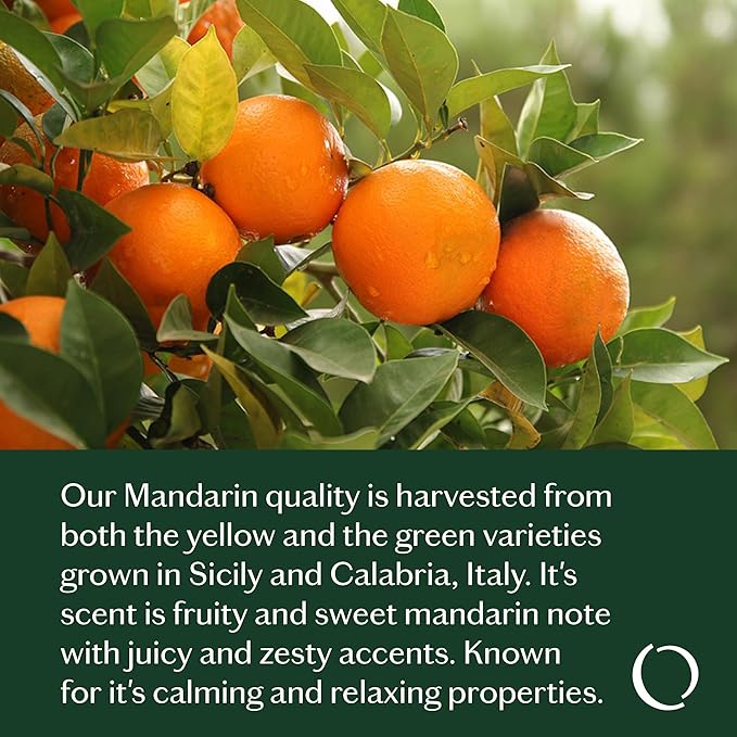 LIVEDROPS 24/7 Balanced Essential Oil Blend. Crafted in France Mandarin, Cardamon & Patchouli Pure & Natural Aromatherapy Skin Safe & Diffuser Compatible Clinically Tested