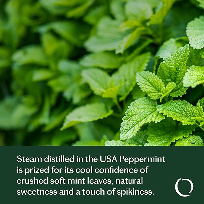 LIVEDROPS 24/7 Confident Peppermint Essential Oil. Made in USA Globally sourced Ingredients. Pure & Natural. Aromatherapy. Dilute in Carrier Oil for The Skin or use in a Diffuser