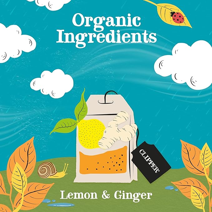 Clipper Tea Lemon & Ginger Teabags – Caffeine Free, USDA Organic, Great Hot or Iced – Aromatic, Natural, Fair & Delicious – 120 Tea Bags