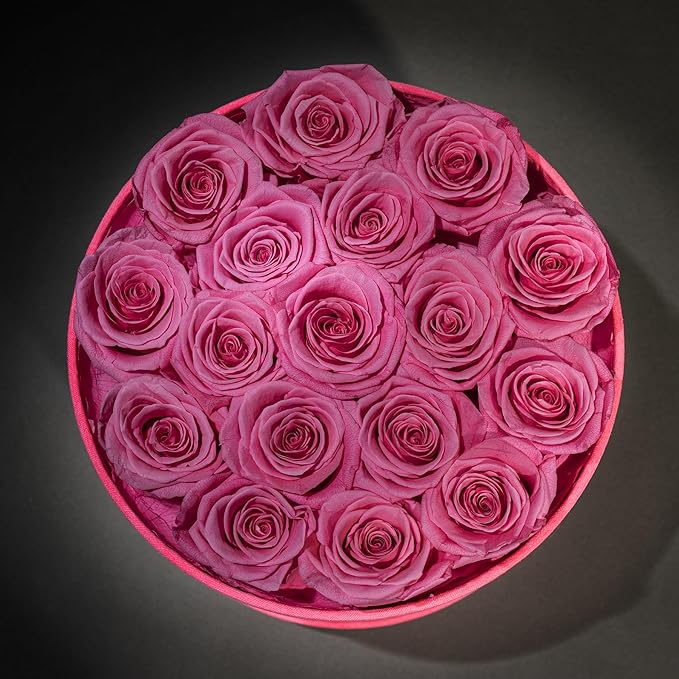 17 Flowers in a Velvet Pink Box, Birthday Gifts for Women, Preserved Flowers, Mothers Day Roses Gift for Mom, Pink