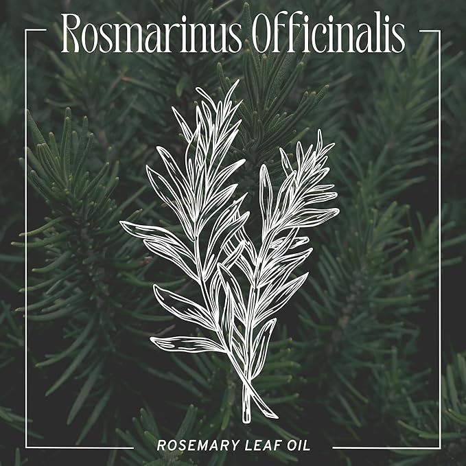 Captain Blankenship Nourish Hair & Scalp Serum | Restores the Scalp, Promotes Healthy Hair Growth, & Reduces Frizz | Color Safe, Organic, Sulfate Free, Vegan Haircare - 2 oz