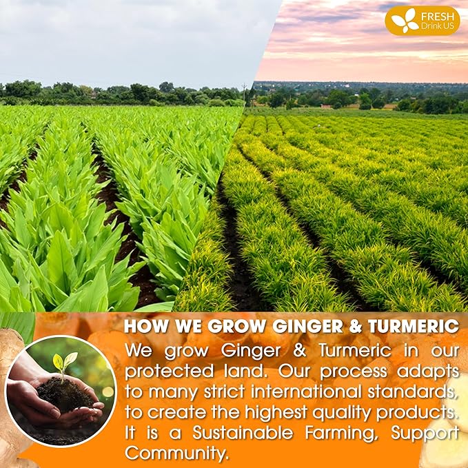 FRESHDRINKUS Premium 65 Turmeric Ginger Tea Bags, 100% Natural Ingredients, Hand-made Blend of and Ginger, Eco-conscious Bags. Herbal Tea. No Sugar, Caffeine, Gluten, Vegan.