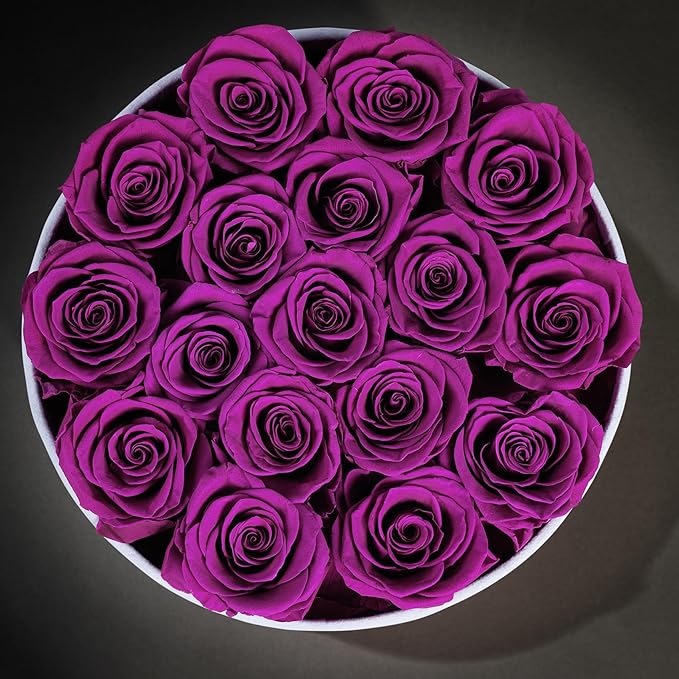 17 Flowers in a Luxury Suede Box, Birthday Gifts for Women, Preserved Flowers, Mothers Day Roses Gift for Mom, Bossy Pink