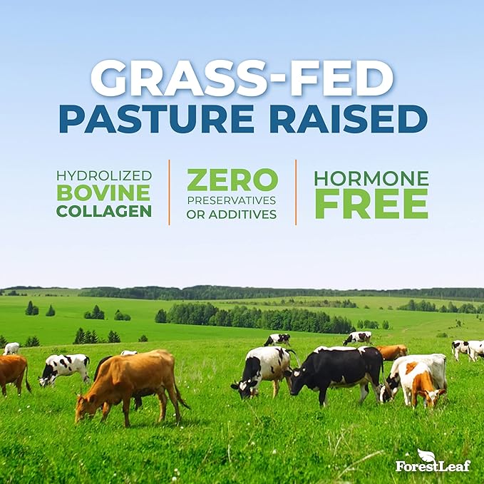 Collagen Peptides Powder Unflavored - Hydrolyzed Collagen Protein Powder Type 1, 2 & 3 - Grass Fed Keto Collagen Powder for Women & Men - Vital Hair, Skin, Nails, Joints, Recovery, 11g Per Serving