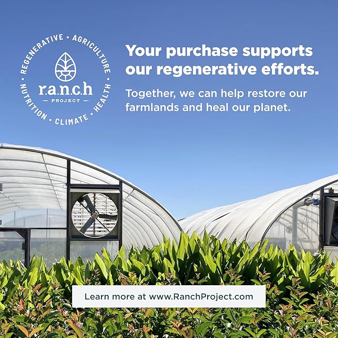 Ancient Nutrition Collagen Peptides Powder, Multi Collagen Protein, Women & Men, Vitamin C, Probiotics, Hydrolyzed Collagen, Supports Skin, Joints, Gut Health, Chocolate, 24 Servings