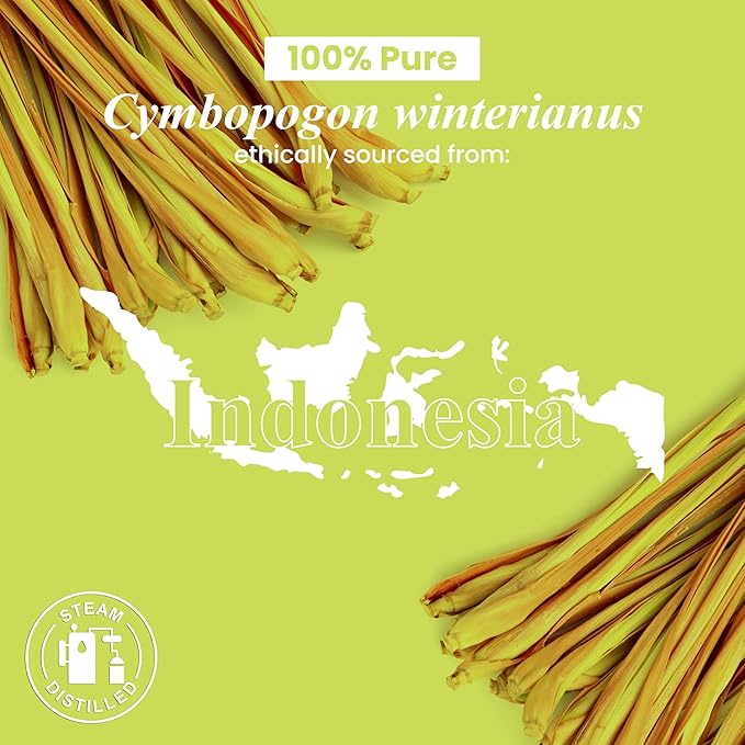 Handcraft Blends Citronella Essential Oil - 1 Fl Oz - 100% Pure and Natural - Premium Grade Essential Oil for Diffuser and Aromatherapy