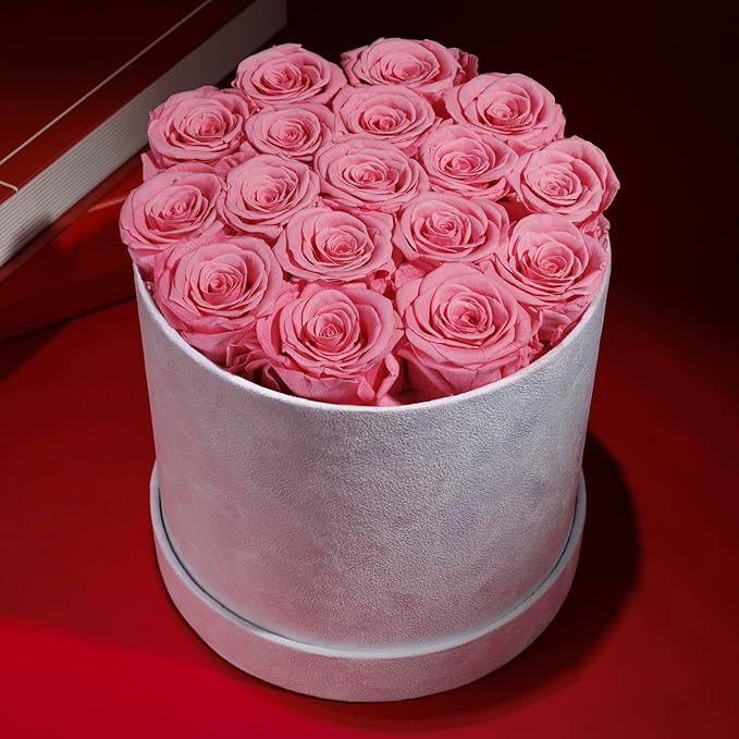 17 Flowers in a Luxury Suede Box, Birthday Gifts for Women, Preserved Flowers, Mothers Day Roses Gift for Mom, Light Pink