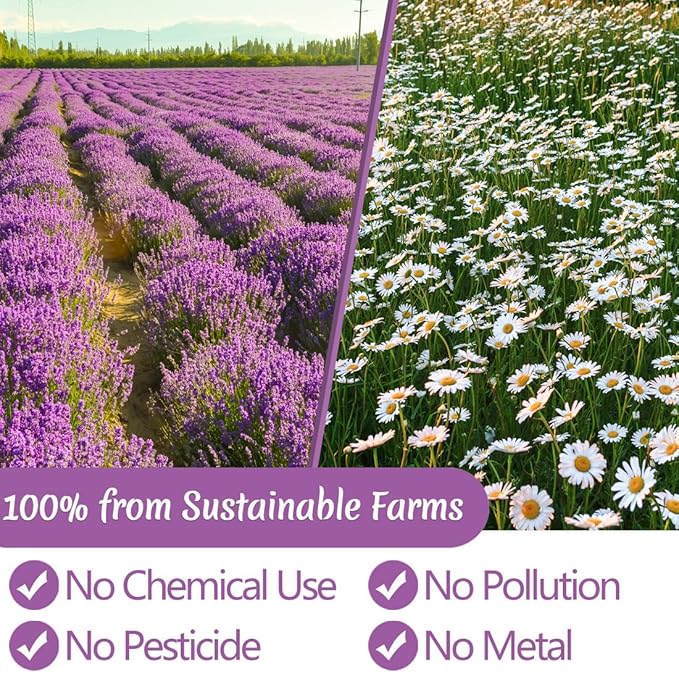 135 Premium Chamomile & Lavender Tea Bags,Relief & Caffeine Free & 100% Natural.