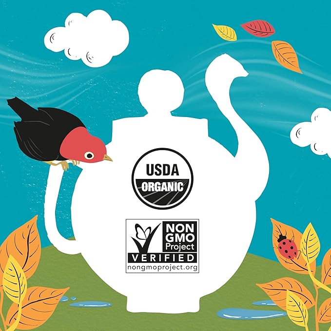 Clipper Tea Lemon & Ginger Teabags – Caffeine Free, USDA Organic, Great Hot or Iced – Aromatic, Natural, Fair & Delicious – 20 Tea Bags