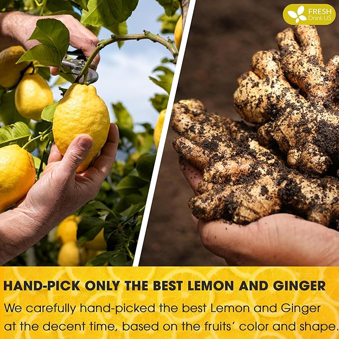 FreshDrinkUS, Premium 200 Lemon Ginger Tea Bags, 100% Natural Ingredients, Hand-made Blend of Lemon and Ginger, Eco-conscious Tea Bags. Lemon Ginger Herbal Tea. No Sugar, No Caffeine, Vegan.