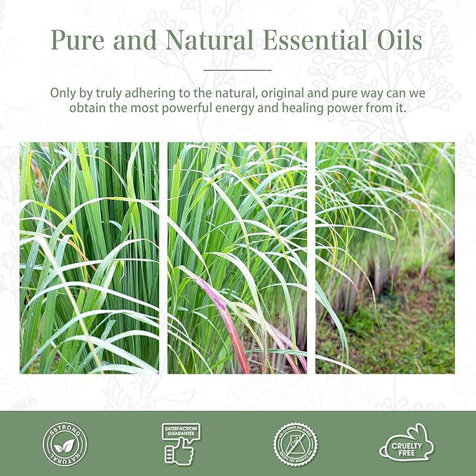 100ML Lemongrass Essential Oil, 3.38FL.OZ Essential Oils for Diffuser, Humidifier, Relax, Aromatherapy, Lemongrass Oil Scented Oils for Soap, Candle Making