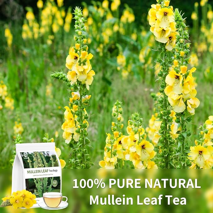 60 Mullein Leaf Tea Bags - 100% Pure & Natural Mullein Leaves, Caffeine Free, No Additives, No Sugar, Non-GMO