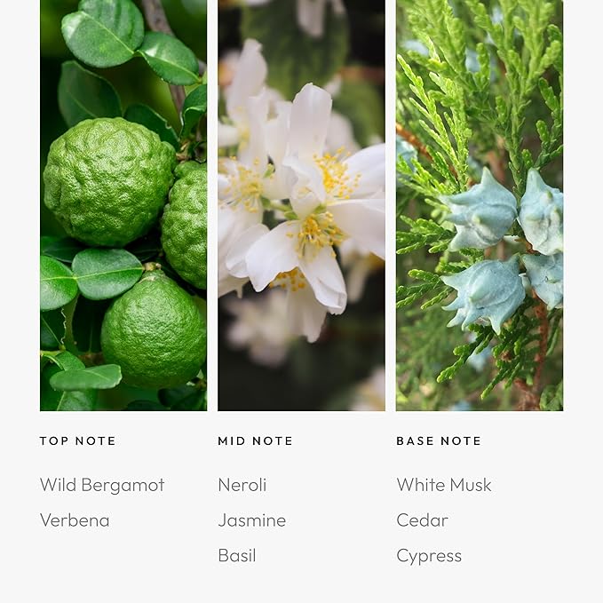 Aroma360 Pro Pod - Fragrance Oil - Scent Includes Wild Bergamot, Cypress & Neroli - Electric Youth, 50mL/1.7 fl oz