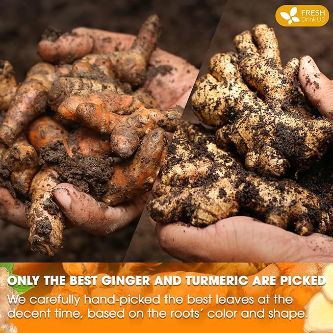 FreshDrinkUS, Premium 135 Turmeric Ginger Tea Bags, 100% Natural Ingredients, Hand-made Blend of Turmeric and Ginger Herbal Tea, Eco-conscious Tea Bags. No Sugar, No Caffeine, No Gluten, Vegan.