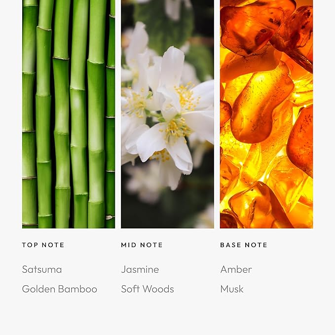 Aroma360 - Eternal Sunshine Pro Pod Fragrance Oil Blend | Hotel Inspired Luxury Essential Oil Diffuser | Aromatherapy Scent Diffuser Oil | Satsuma, Golden Bamboo and Cedar 1.7 fl oz, 50 mL