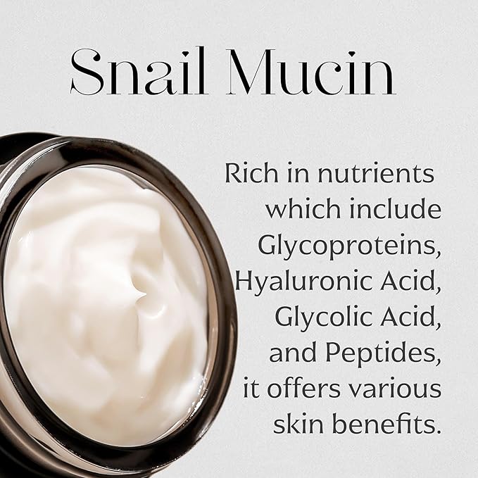 MIZON Black Snail All In One Cream Intensive Korean Skin Care Facial Moisturizing Snail Mucin Extract Travel Size (1.18 fl oz)