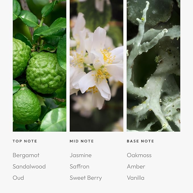 Aroma360 - Chandelier Pro Pod Fragrance Oil Blend | Hotel Inspired Luxury Essential Oil Diffuser | Aromatherapy Scent Diffuser Oil | Bergamot, Woodsy Sandalwood and Saffron 1.7 fl oz, 50 mL