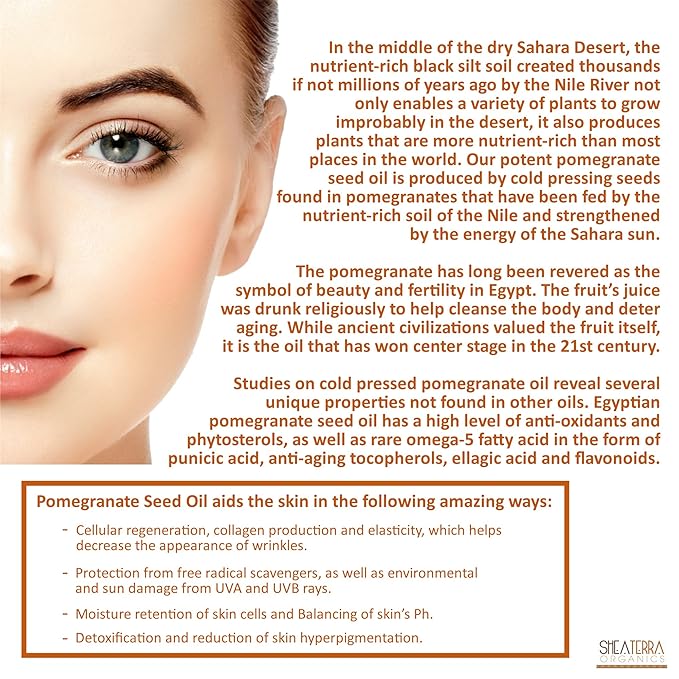 Shea Terra Egyptian Pomegrante Cold-pressed Extra Virgin Oil |All Natural & Organic Oil Rich in Anti-Aging Omega-5, Tocopherols & Ellagic Acid that Increase Skin Elasticity & Repair Skin Damage– 2 oz