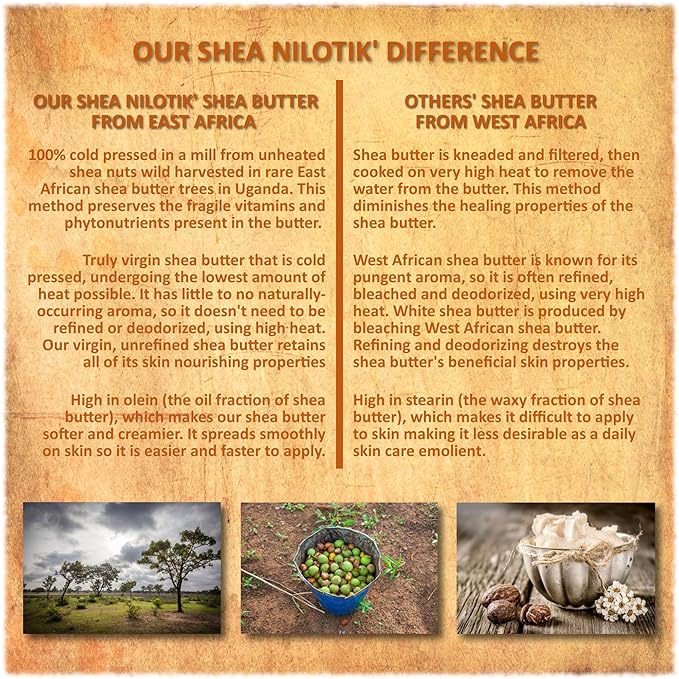 Shea Terra Organics Nilotik’ Shea Butter Ultra-Rich Lotion – Coconut Lemongrass | Natural Daily Moisturizer High in Vitamins & Minerals with Antiseptic & Astringent Properties for Glowing Skin – 16 oz